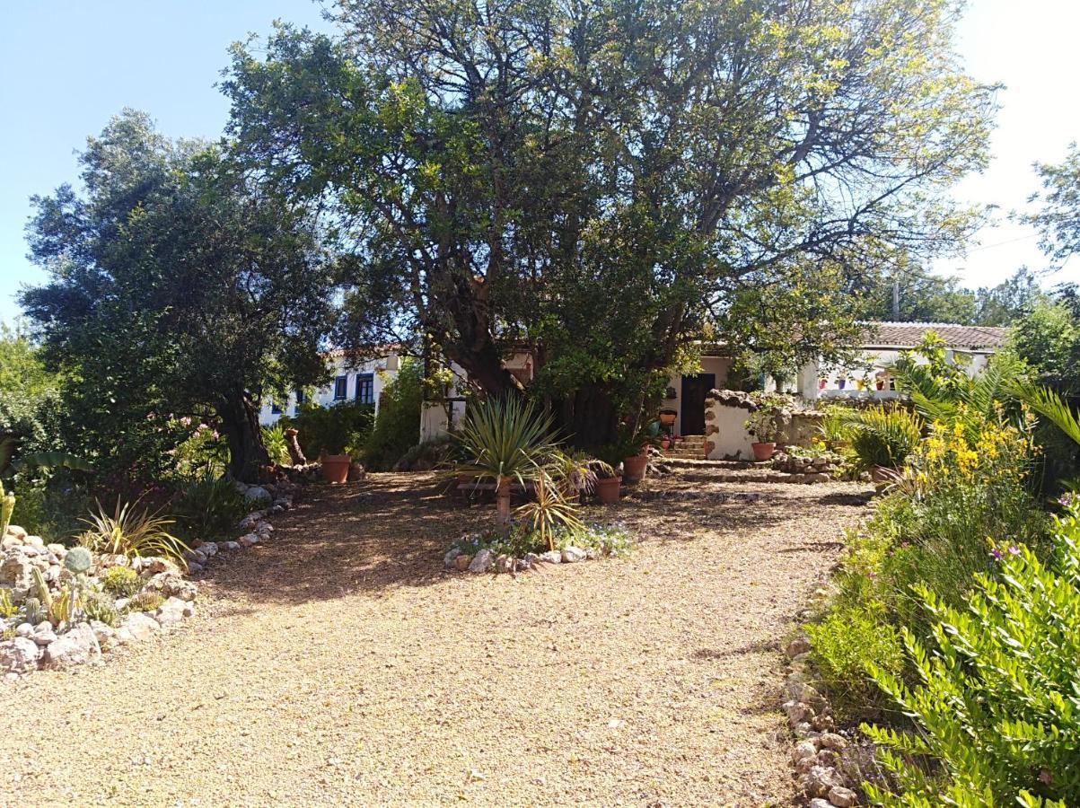 Bed and Breakfast Quinta Dos Valados Querenca Exterior foto